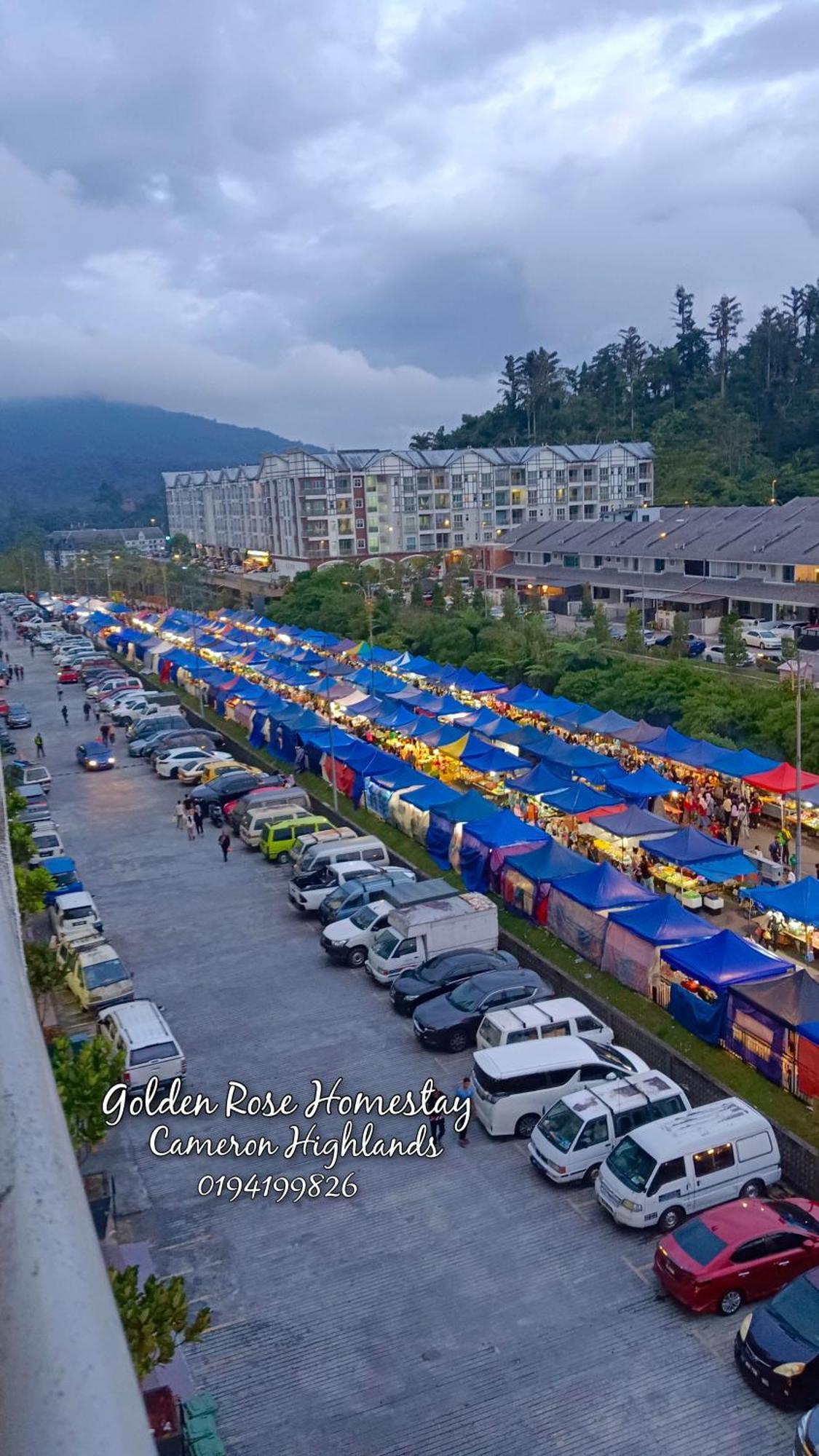 Golden Rose Cameron Highlands * Brinchang